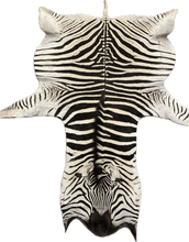 Load image into Gallery viewer, A Grade Zebra Hide Rug [A25-7]
