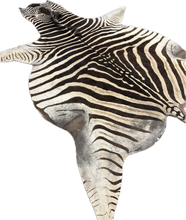 Load image into Gallery viewer, A Grade Zebra Hide Rug [A25-5]

