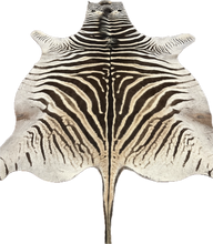 Load image into Gallery viewer, A Grade Zebra Hide Rug [A615]
