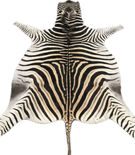 Load image into Gallery viewer, AA Grade Zebra Hide Rug [AA92]
