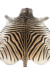 Load image into Gallery viewer, A Grade Zebra Hide Rug [A+3]
