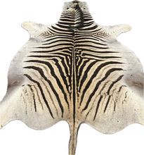 Load image into Gallery viewer, B Grade Zebra Hide Rug [B138]
