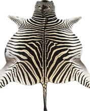 Load image into Gallery viewer, AA Grade Zebra Hide Rug [AA25-10]
