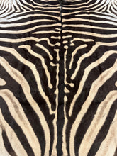 Load image into Gallery viewer, AA Grade Zebra Hide Rug [AA25-6]
