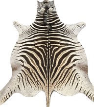 Load image into Gallery viewer, A Grade Zebra Hide Rug [A615]
