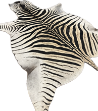 Load image into Gallery viewer, Trophy AA Grade Zebra Hide Rug [T/AA25-4]
