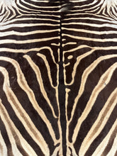 Load image into Gallery viewer, A Grade Zebra Hide Rug [A54]
