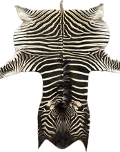 Load image into Gallery viewer, Trophy AA Grade Zebra Hide Rug [T/AA25-8]
