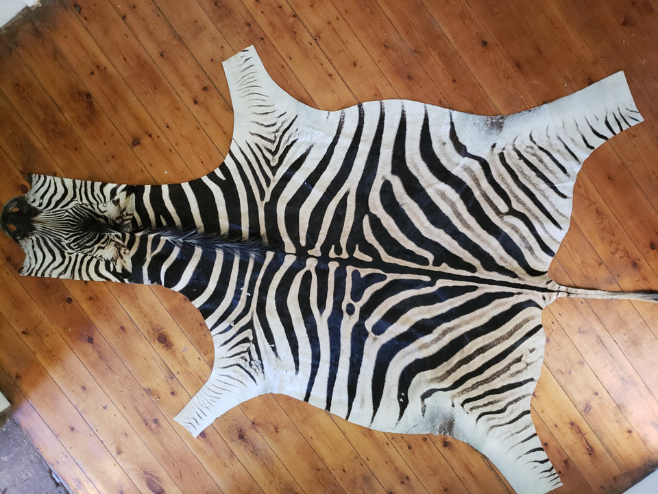 zebra hide for sale