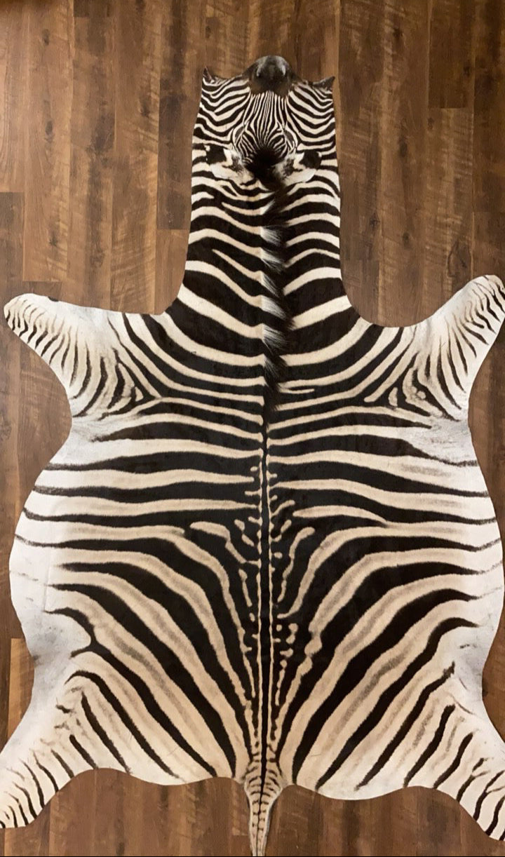 Zebra Hide Rug for Sale