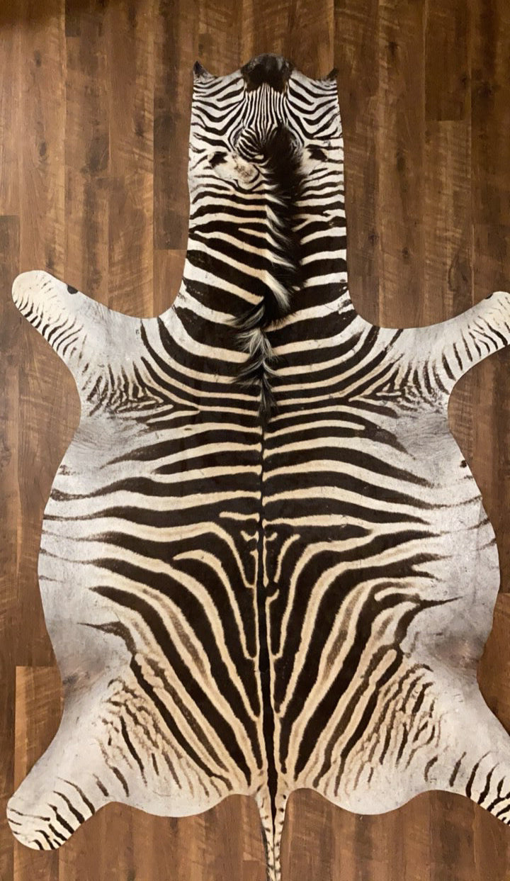 Zebra Hide Rug for Sale