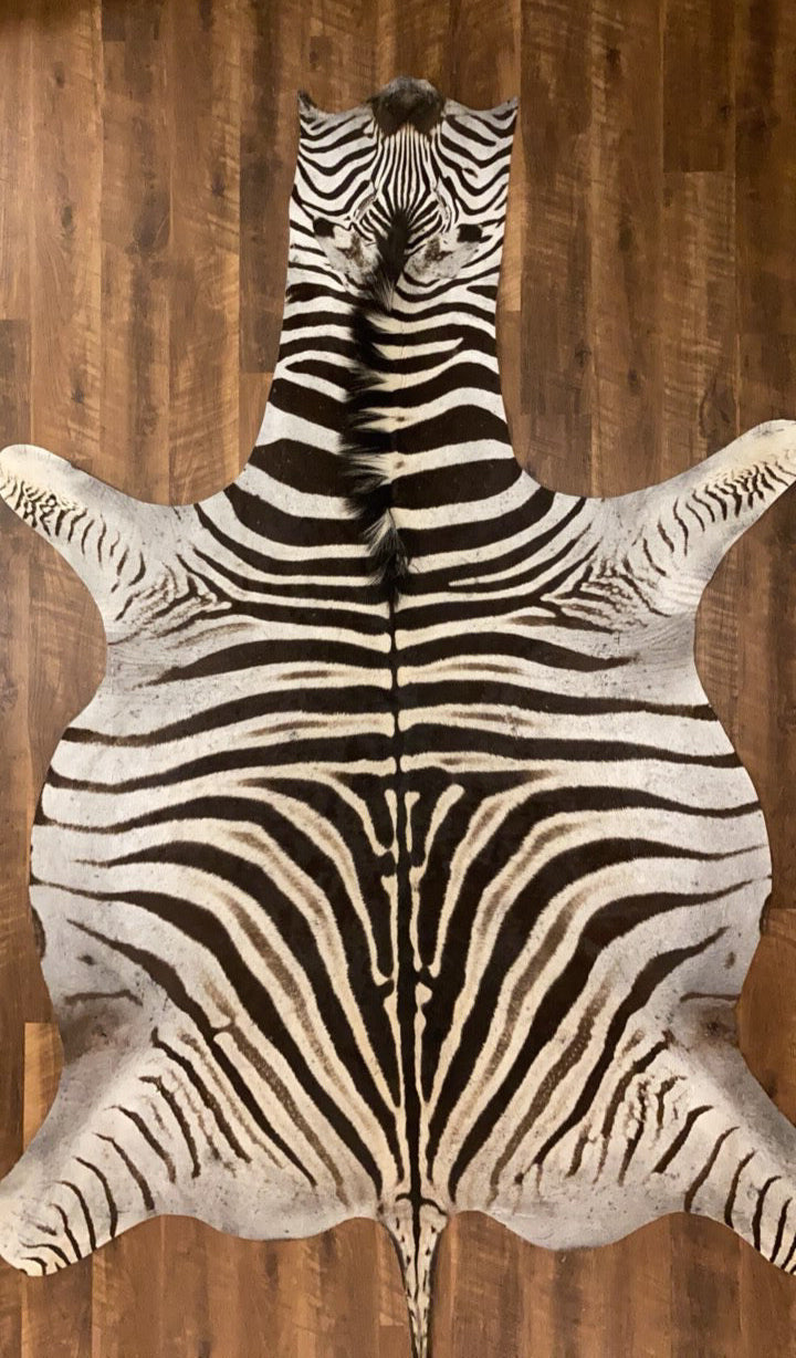 Zebra Skin for Sale