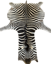 Load image into Gallery viewer, Zebra skin rug with a white background
