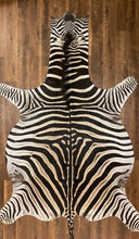 Load image into Gallery viewer, Zebra Hide Rug for Sale
