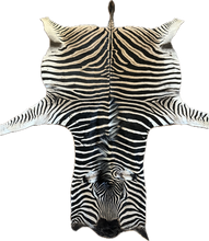 Load image into Gallery viewer, Zebra skin rug with black and white stripes on a white background
