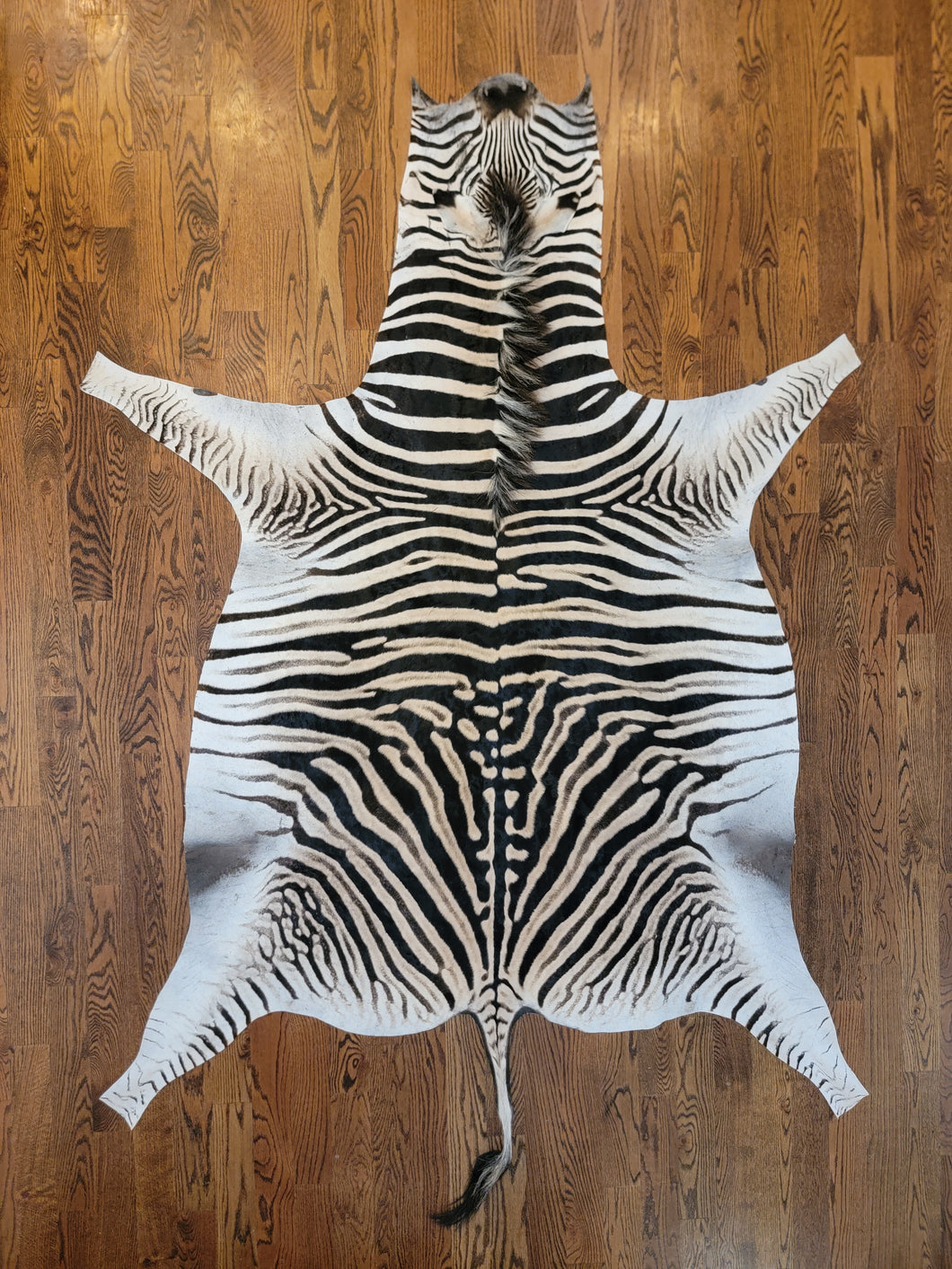 Zebra Skin Rug on Wooden Floor