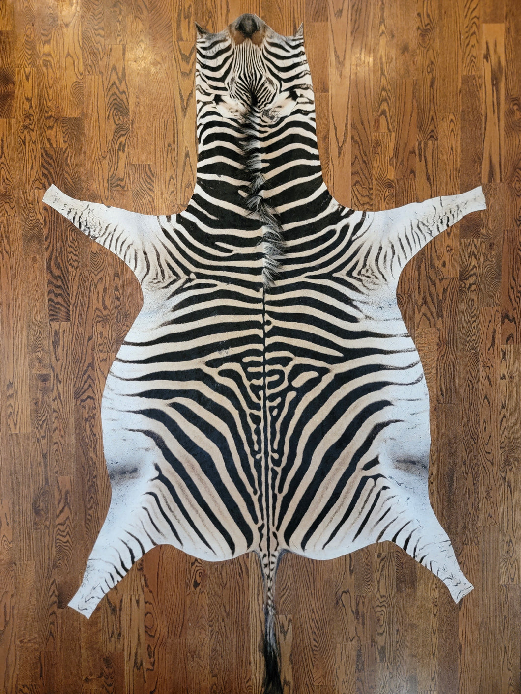 Zebra skin rug on a wooden floor