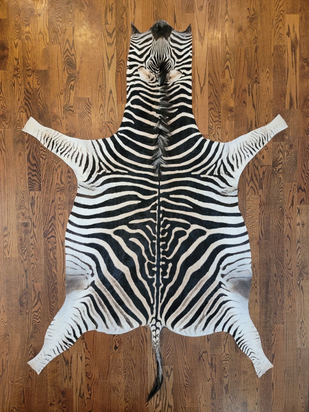 Zebra Skin Rug on Wooden Floor