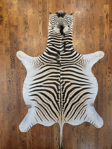 Authentic Zebra Skin