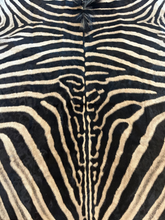 Load image into Gallery viewer, Close up of Zebra Stripes
