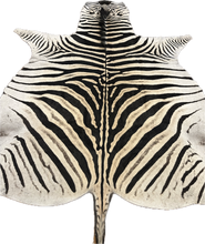 Load image into Gallery viewer, Trophy AA Grade Zebra Hide Rug [T/AA25-4]
