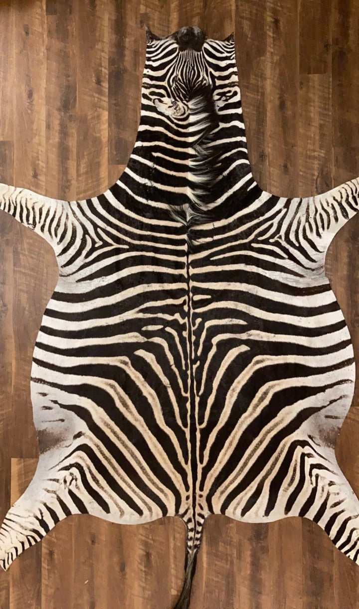 Zebra Skin Rug Vector Zebra Skin Rug