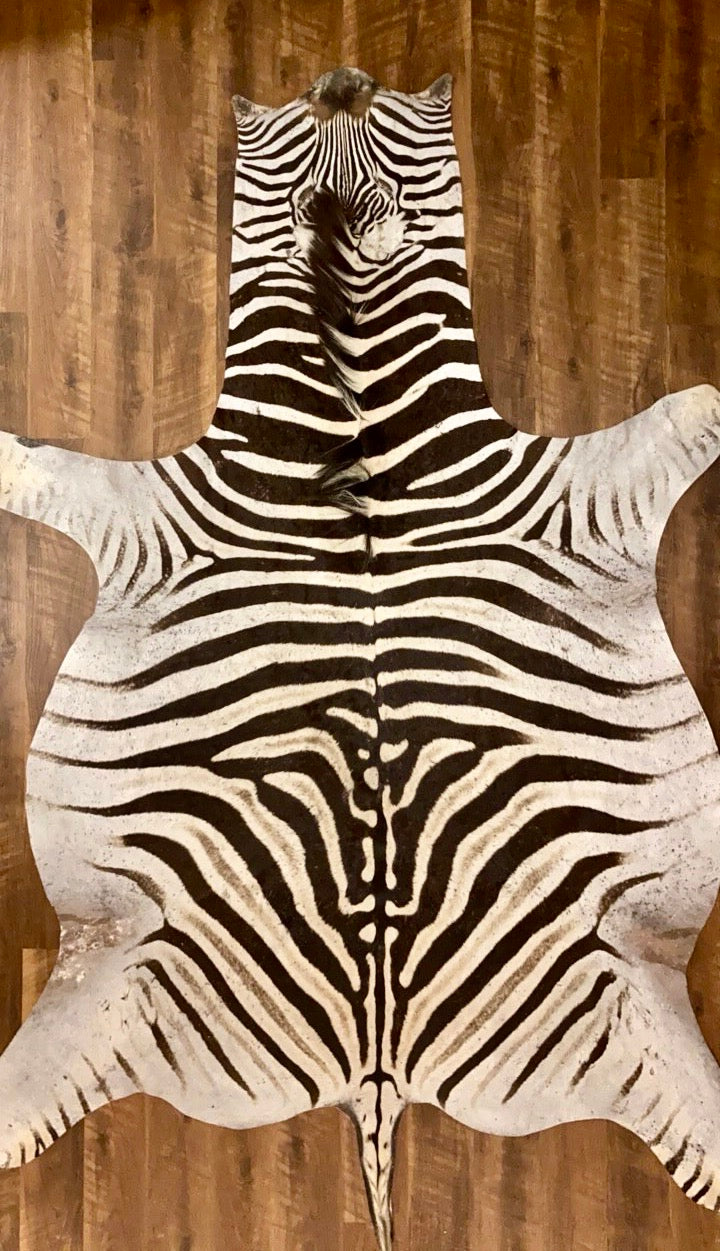B Grade Zebra Hide Rug [B127]